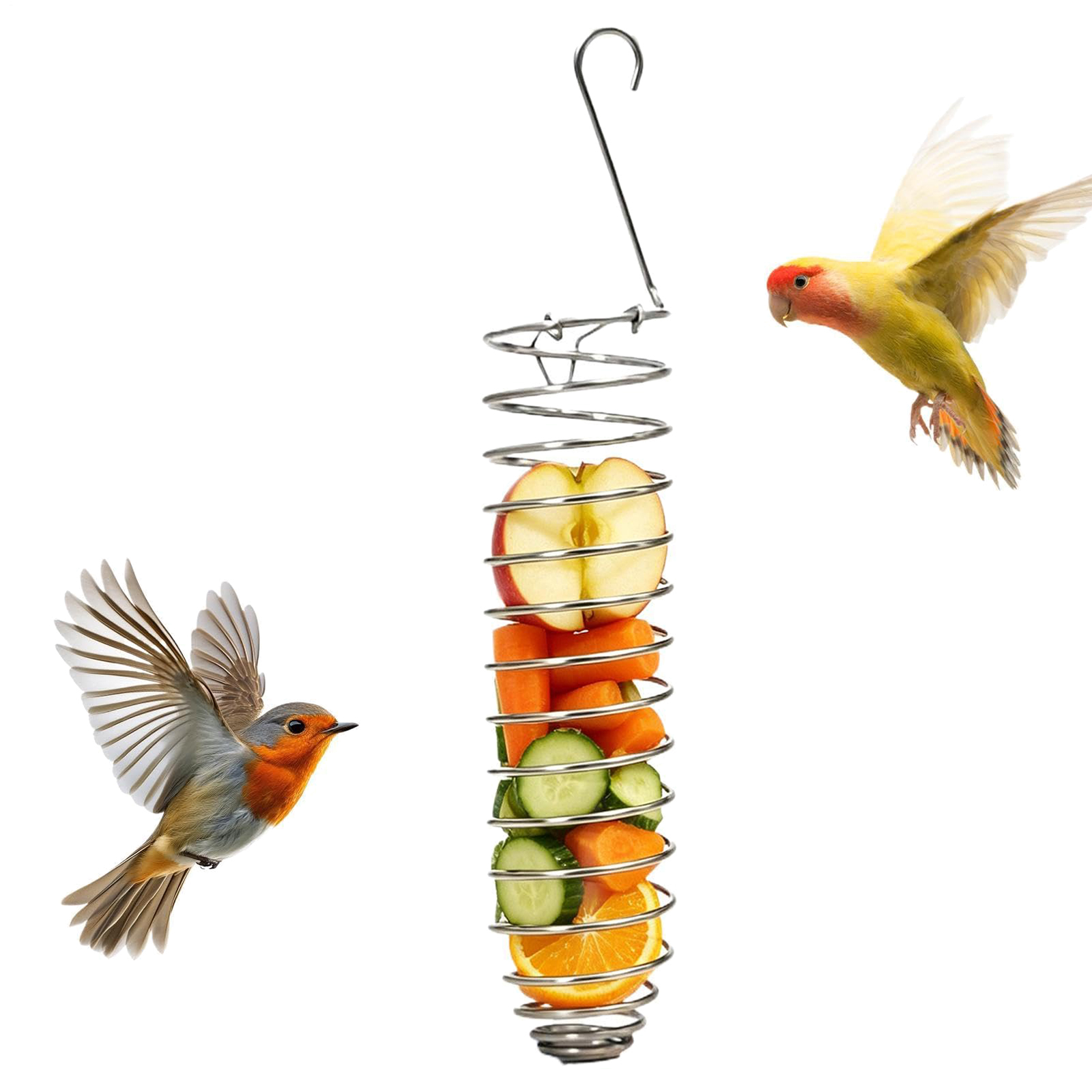 Stainless Steel Spiral Bird Fo - Food Snacks Basket review and price