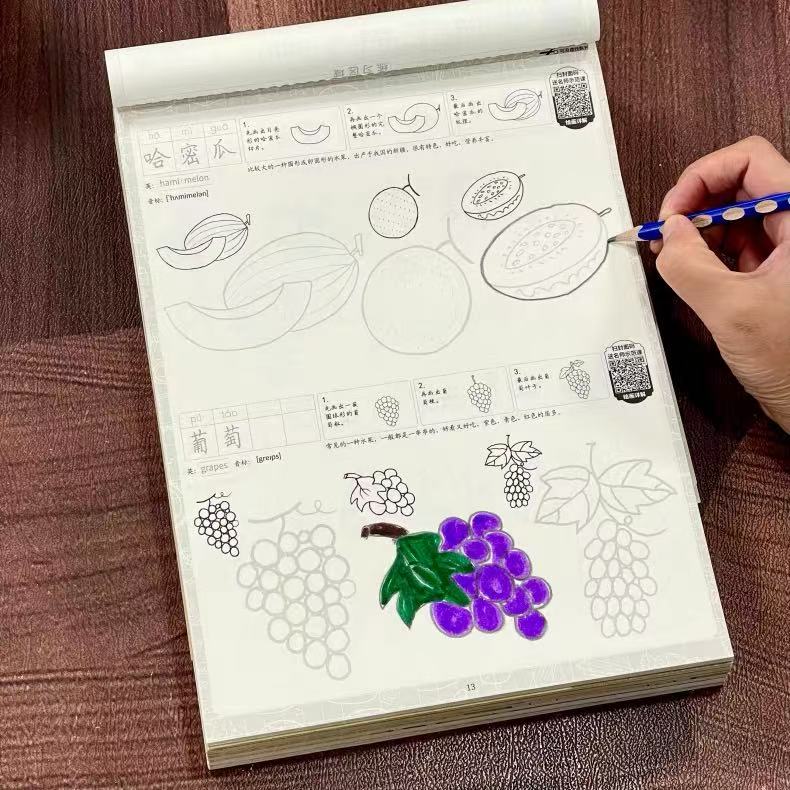 Cartoon Food Tracing Sketch Bo - Food Snacks Drawing review and price