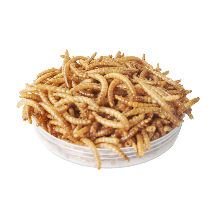 High-Protein Snacks Hamster Fo - Food And Snacks High In Protein review and price